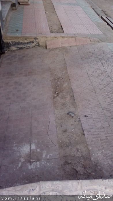 تصویر موسی اصلانی