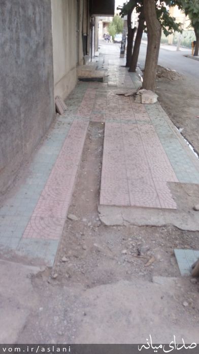 تصویر موسی اصلانی