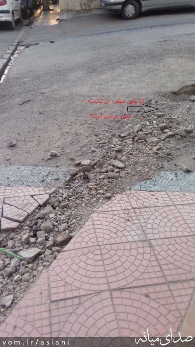 تصویر موسی اصلانی