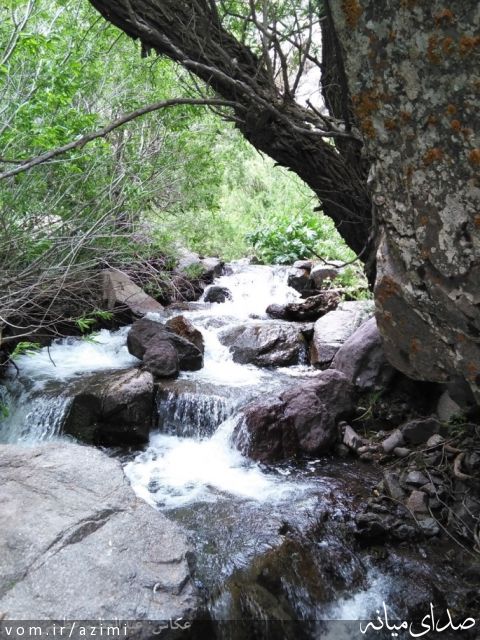 تصویر دکتر عبدالعظیم عظیمی