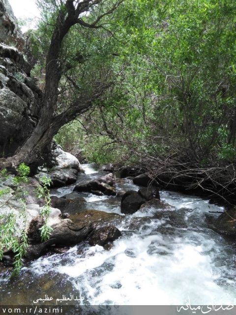تصویر دکتر عبدالعظیم عظیمی