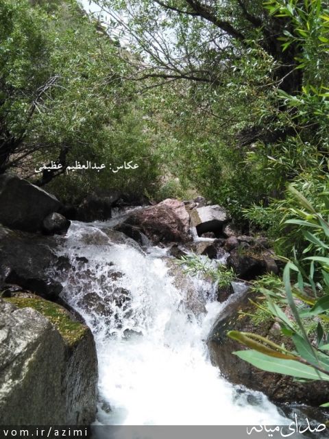 تصویر دکتر عبدالعظیم عظیمی