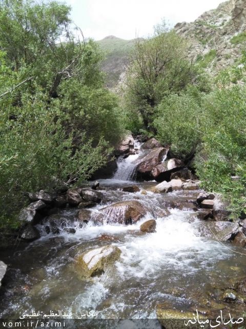 تصویر دکتر عبدالعظیم عظیمی