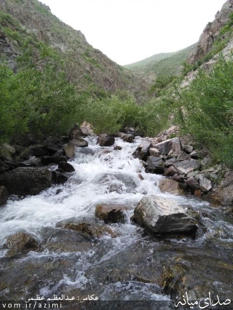 تصویر دکتر عبدالعظیم عظیمی