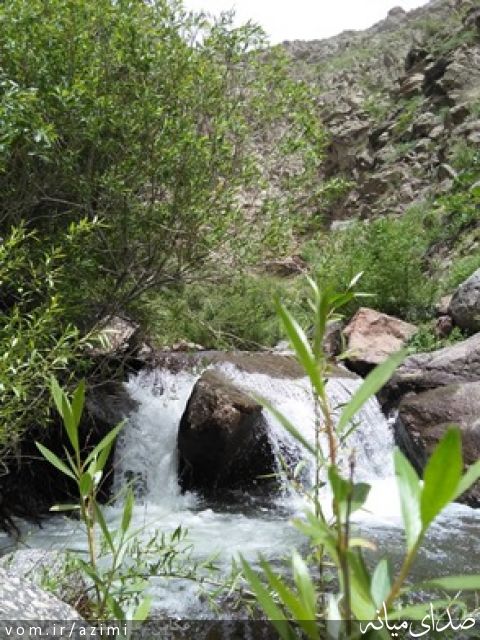 تصویر دکتر عبدالعظیم عظیمی