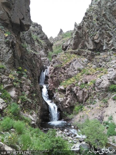 تصویر دکتر عبدالعظیم عظیمی