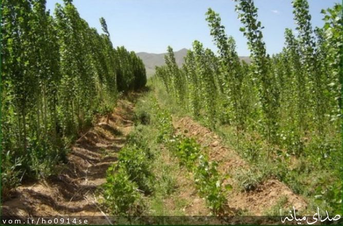 تصویر روابط عمومی منابع طبیعی میانه