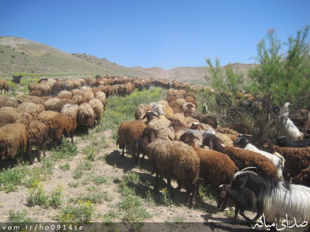 تصویر روابط عمومی منابع طبیعی میانه