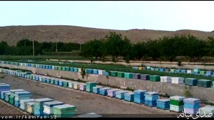 تصویر کامران قره داغی