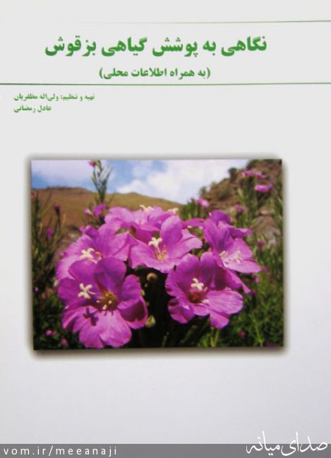 تصویر اسماعیل مختاری