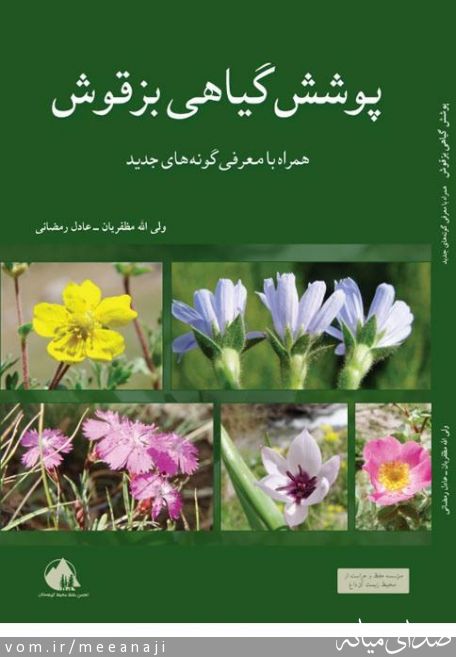 تصویر اسماعیل مختاری