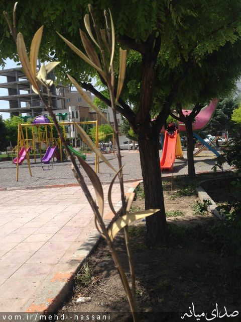 تصویر مهدی حسنی
