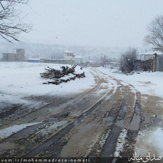 تصویر محمّدرضا نعمتی