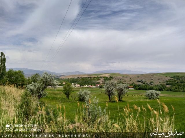 تصویر محمّدرضا نعمتی