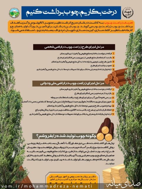 تصویر محمّدرضا نعمتی