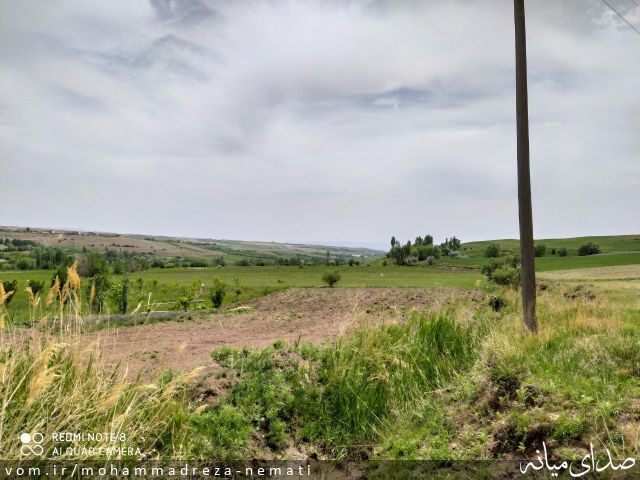 تصویر محمّدرضا نعمتی