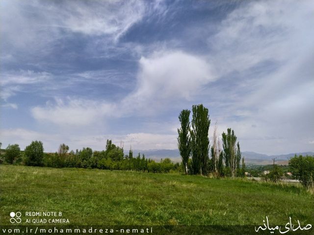 تصویر محمّدرضا نعمتی