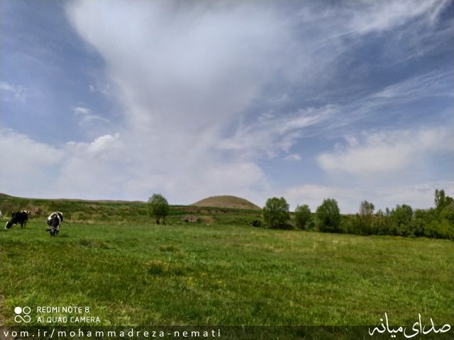 تصویر محمّدرضا نعمتی