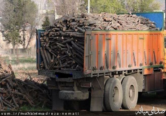 تصویر محمّدرضا نعمتی
