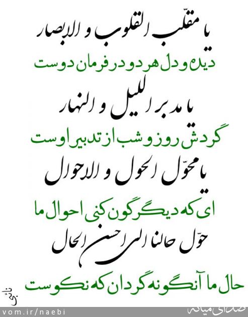 تصویر محمدصادق نائبی