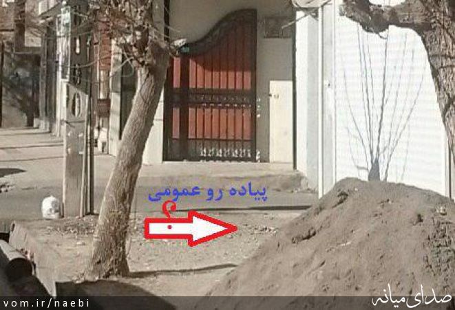 تصویر محمدصادق نائبی
