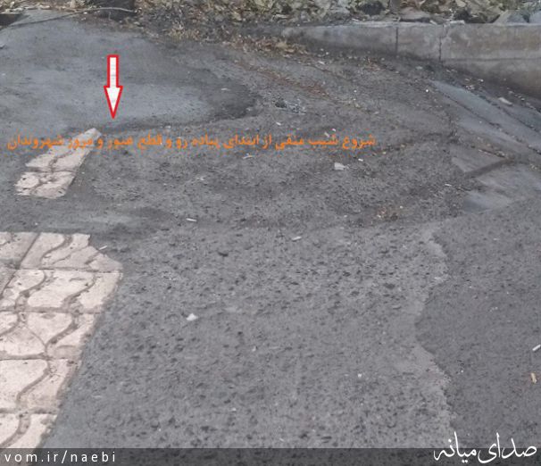 تصویر محمدصادق نائبی