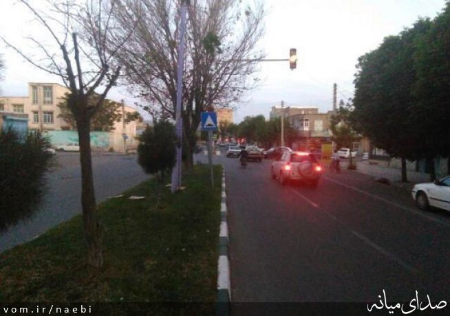 تصویر محمدصادق نائبی