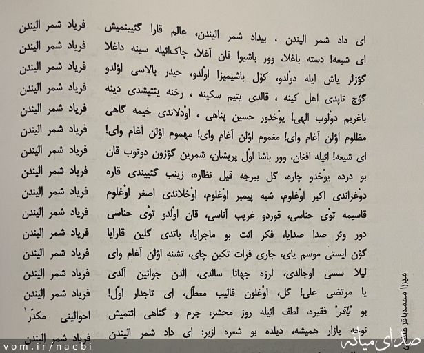 تصویر محمدصادق نائبی