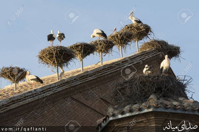 تصویر حسین پوربهرامی
