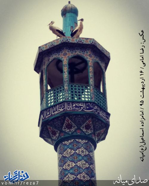 تصویر رضا امامی