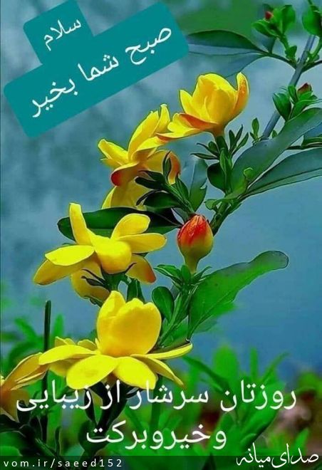 تصویر سعید آقاپور