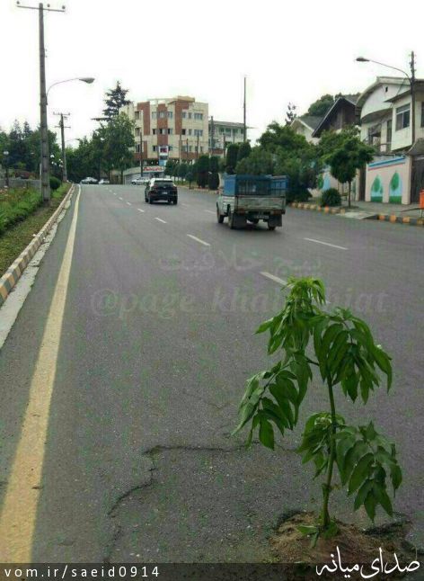 تصویر سعید مهرورز