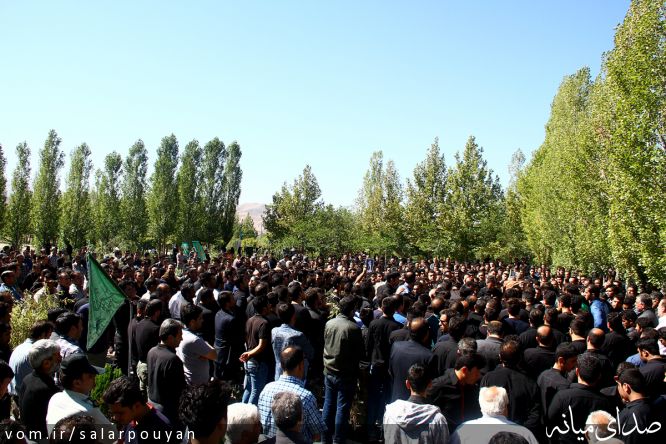 تصویر سالار پویان