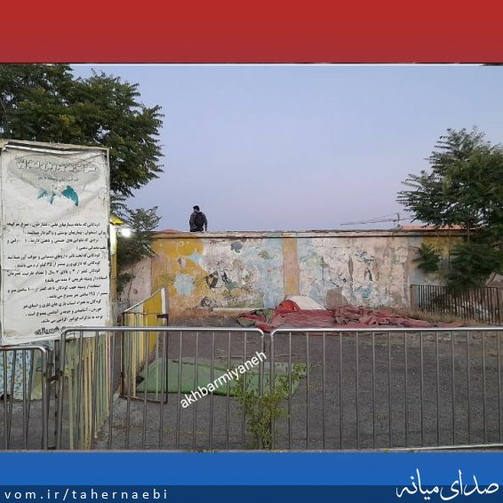 تصویر طاهر نائبی