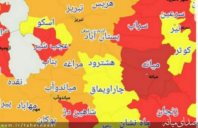 تصویر طاهر نائبی