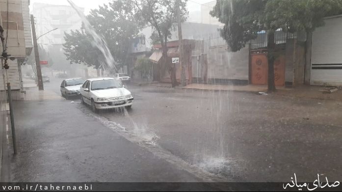 تصویر طاهر نائبی