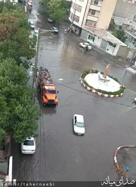 تصویر طاهر نائبی