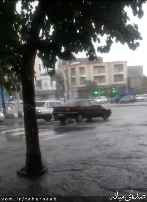 تصویر طاهر نائبی
