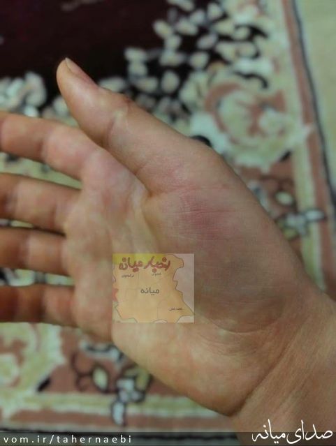 تصویر طاهر نائبی