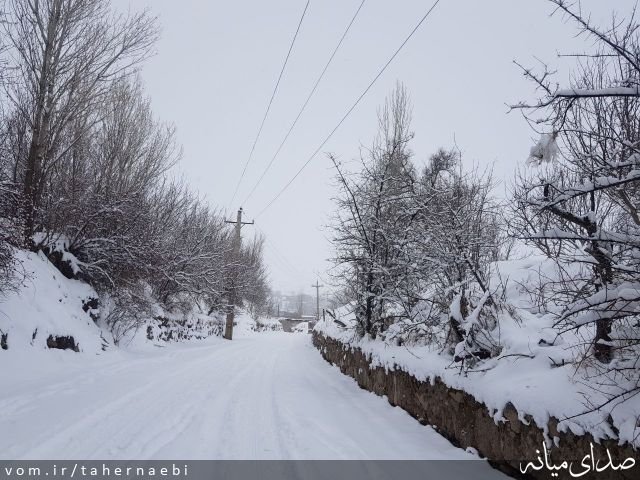 تصویر طاهر نائبی