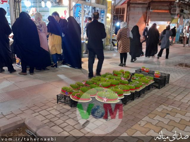 تصویر طاهر نائبی