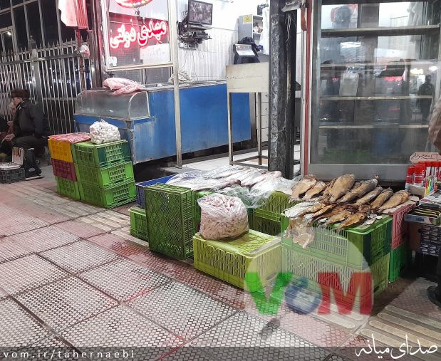 تصویر طاهر نائبی