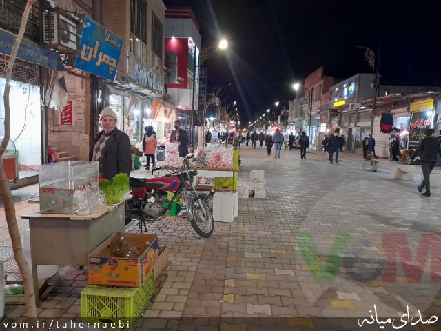 تصویر طاهر نائبی