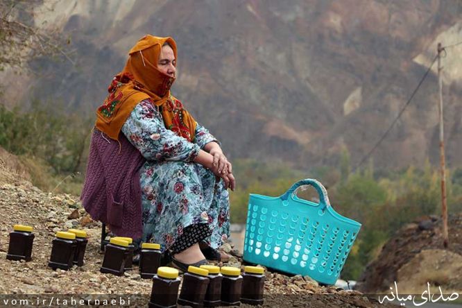 تصویر طاهر نائبی