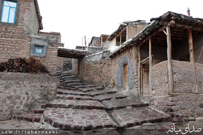 تصویر طاهر نائبی