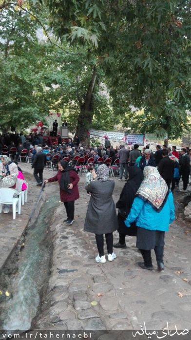 تصویر طاهر نائبی