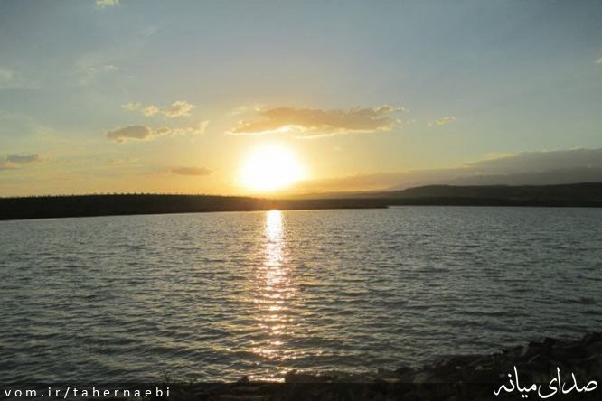 تصویر طاهر نائبی