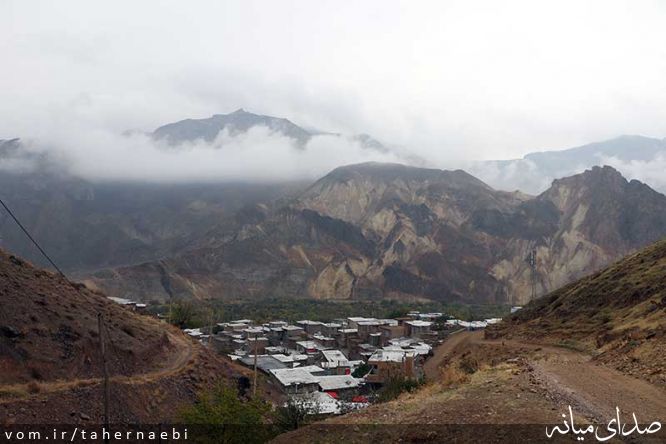تصویر طاهر نائبی