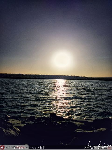 تصویر طاهر نائبی