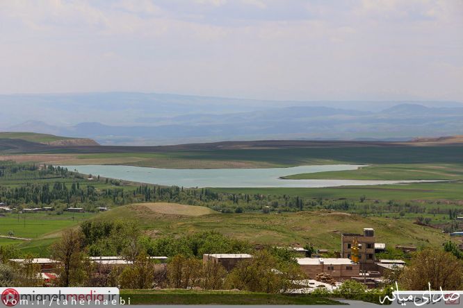 تصویر طاهر نائبی